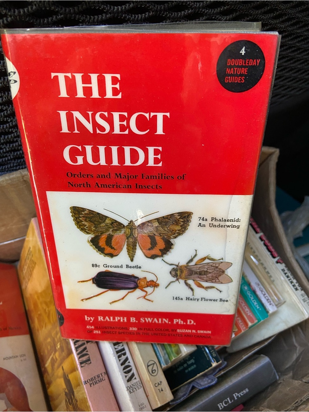 Vintage 40s 1940s Insect Guide book insects bug butterfly butterflies Nature hc